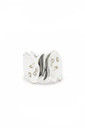 Polyʼs Two Ghost Ring