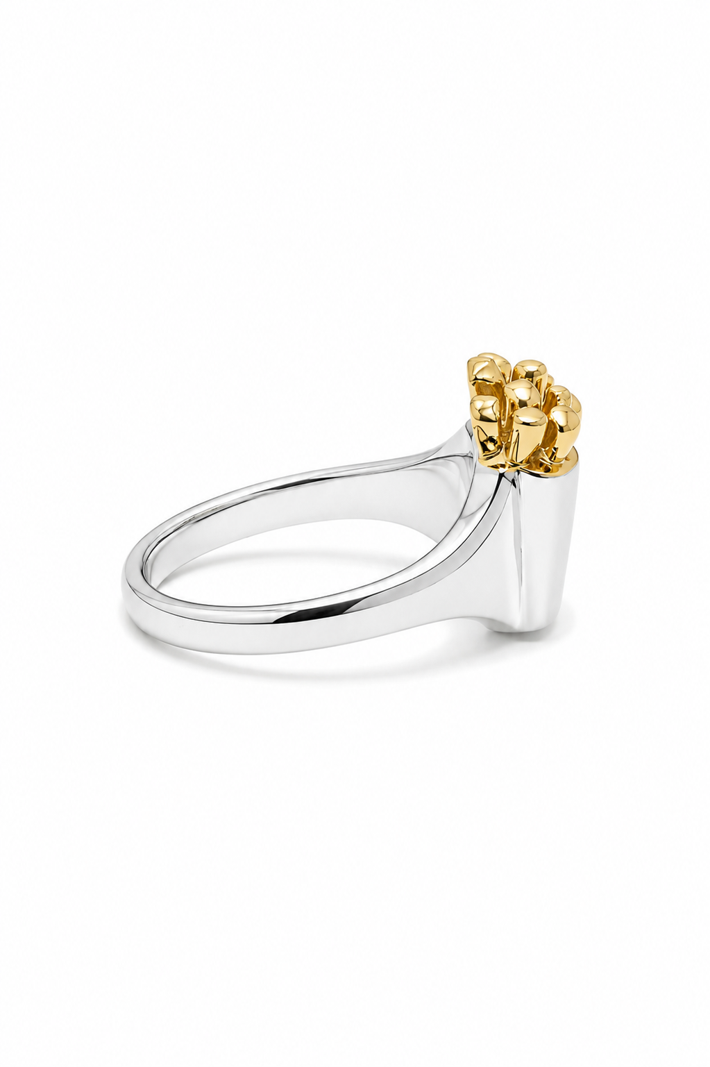I like Chips Ring ‒ Two tone